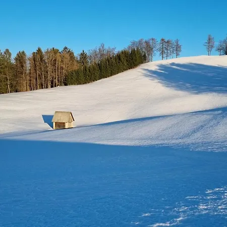 Апартаменты Apartma Pod Orehom Slap ob Idrijci