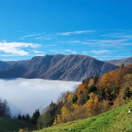 Apartma Pod Orehom Апартаменты *