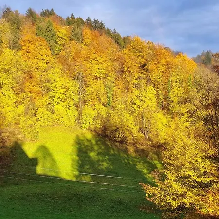 Apartma Pod Orehom Апартаменты Slap ob Idrijci