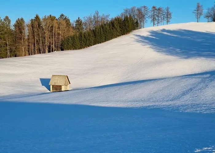 Apartament Apartma Pod Orehom Slap ob Idrijci