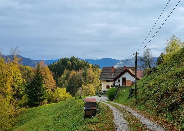 Apartament Apartma Pod Orehom *