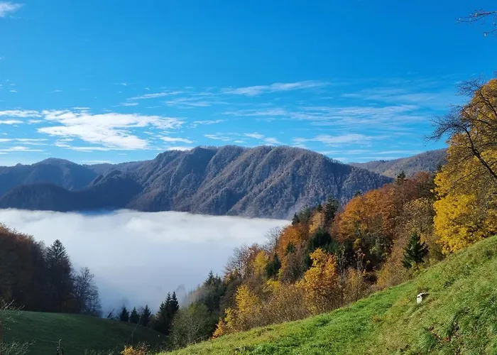 Apartma Pod Orehom Apartament *